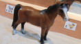 /album/fotogalerij-onze-paarden/schermafbeelding-2013-03-14-om-16-10-34-png/